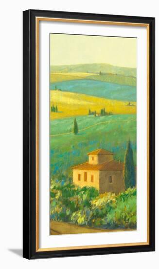 Tuscan Landscape II-Hazel Barker-Framed Art Print