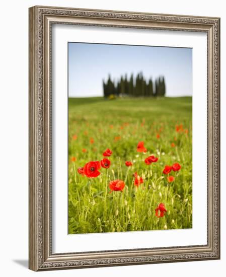 Tuscan Landscape, Tuscany, Italy-Doug Pearson-Framed Photographic Print