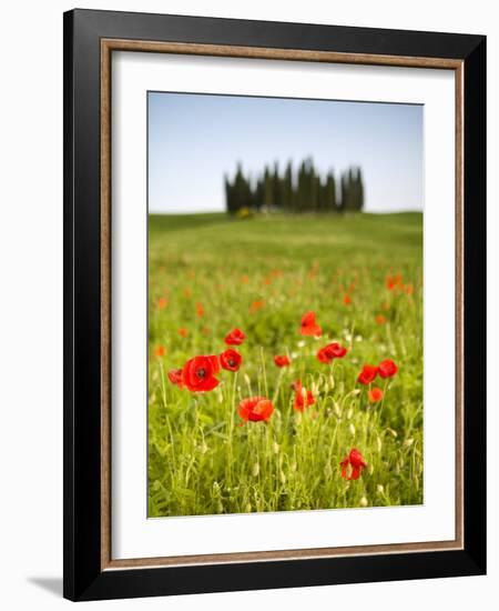 Tuscan Landscape, Tuscany, Italy-Doug Pearson-Framed Photographic Print