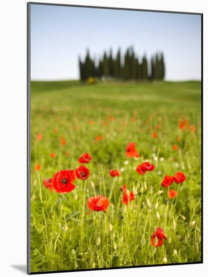 Tuscan Landscape, Tuscany, Italy-Doug Pearson-Mounted Photographic Print