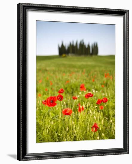 Tuscan Landscape, Tuscany, Italy-Doug Pearson-Framed Photographic Print