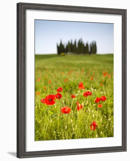 Tuscan Landscape, Tuscany, Italy-Doug Pearson-Framed Photographic Print