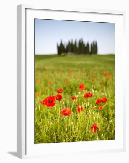 Tuscan Landscape, Tuscany, Italy-Doug Pearson-Framed Photographic Print