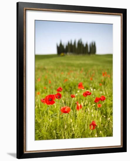 Tuscan Landscape, Tuscany, Italy-Doug Pearson-Framed Photographic Print