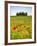 Tuscan Landscape, Tuscany, Italy-Doug Pearson-Framed Photographic Print