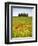 Tuscan Landscape, Tuscany, Italy-Doug Pearson-Framed Photographic Print