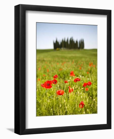 Tuscan Landscape, Tuscany, Italy-Doug Pearson-Framed Photographic Print