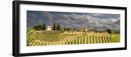 Tuscan landscape under thunder clouds. Farmhouse with vineyard. Tuscany, Italy.-Tom Norring-Framed Photographic Print