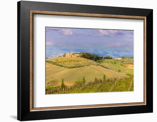 Tuscan landscape with vineyards and olive groves. Tuscany, Italy.-Tom Norring-Framed Photographic Print