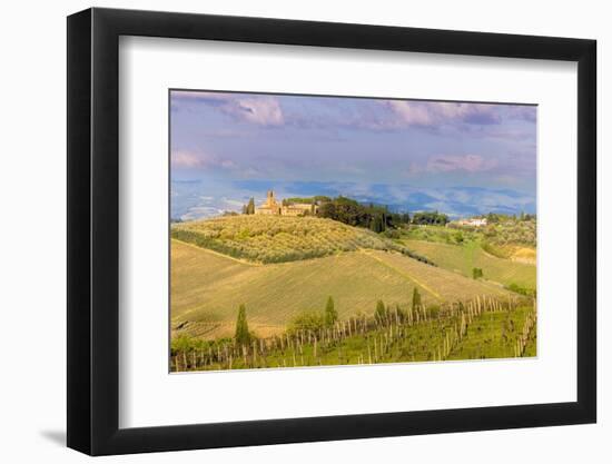 Tuscan landscape with vineyards and olive groves. Tuscany, Italy.-Tom Norring-Framed Photographic Print