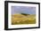 Tuscan landscape with vineyards and olive groves. Tuscany, Italy.-Tom Norring-Framed Photographic Print