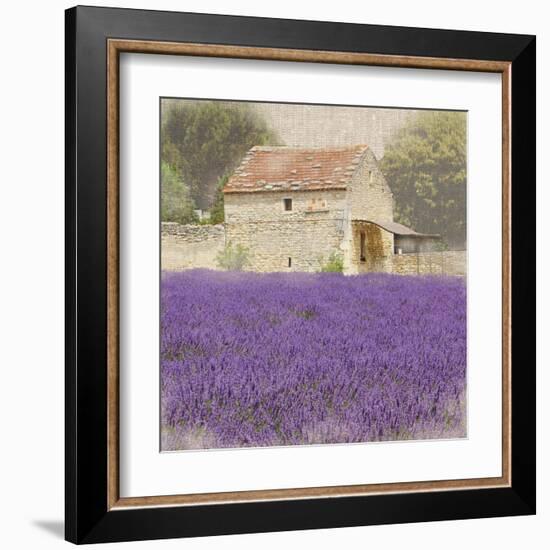 Tuscan Lavender-Bret Staehling-Framed Art Print