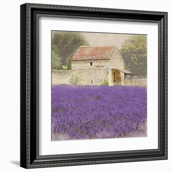 Tuscan Lavender-Bret Staehling-Framed Art Print