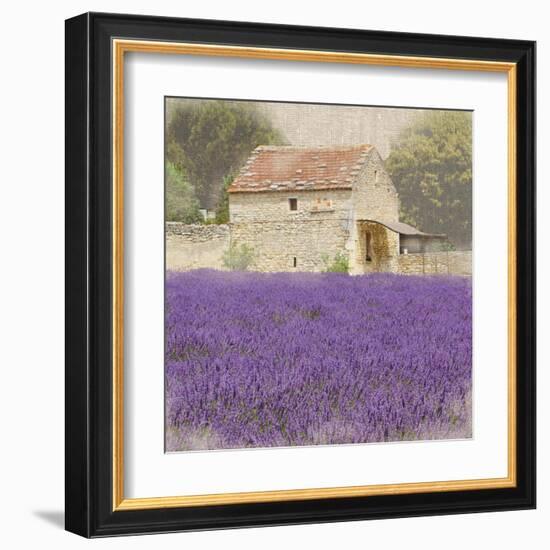 Tuscan Lavender-Bret Staehling-Framed Art Print