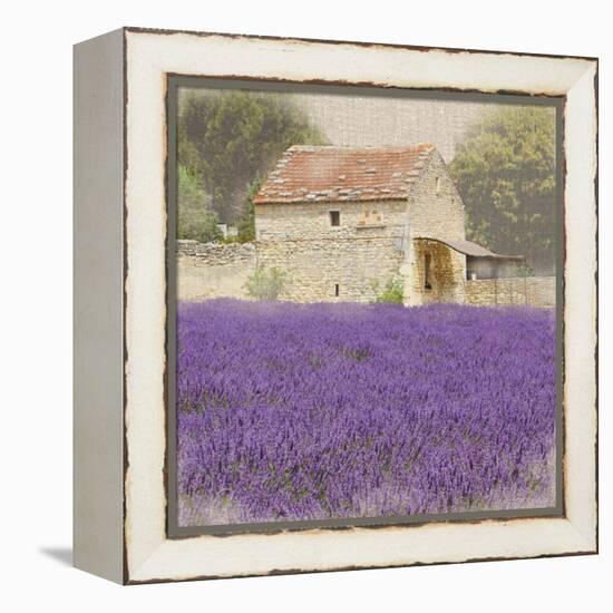 Tuscan Lavender-Bret Staehling-Framed Stretched Canvas