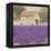 Tuscan Lavender-Bret Staehling-Framed Stretched Canvas