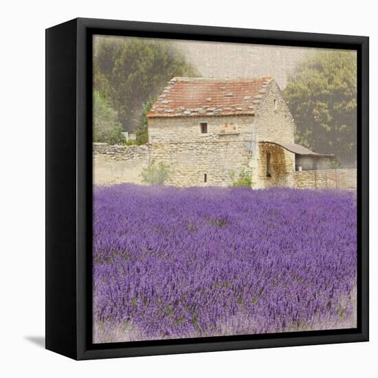 Tuscan Lavender-Bret Staehling-Framed Stretched Canvas