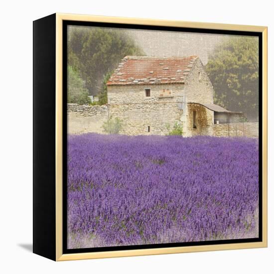 Tuscan Lavender-Bret Staehling-Framed Stretched Canvas