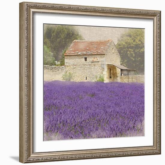 Tuscan Lavender-Bret Staehling-Framed Art Print