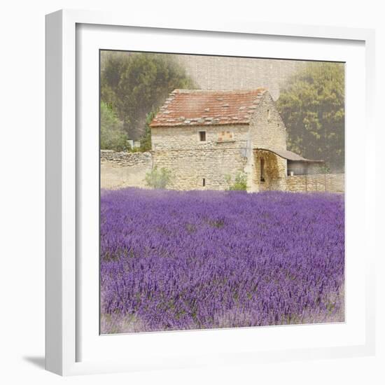 Tuscan Lavender-Bret Staehling-Framed Art Print