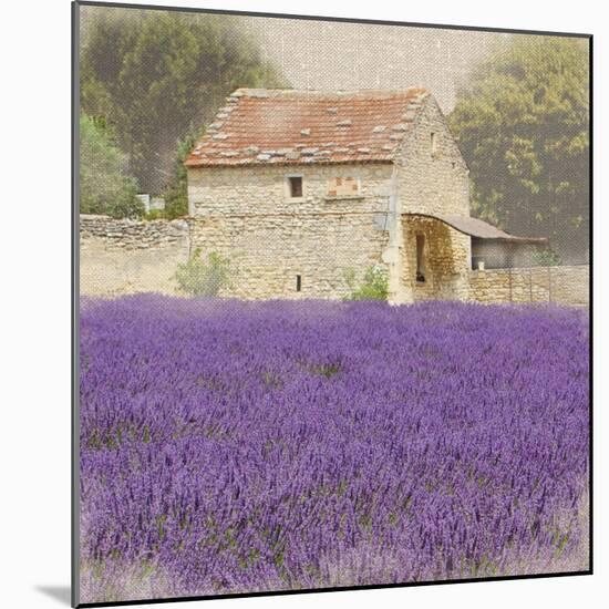 Tuscan Lavender-Bret Staehling-Mounted Art Print