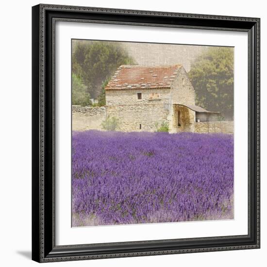 Tuscan Lavender-Bret Staehling-Framed Art Print