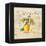 Tuscan Lemon-Angela Staehling-Framed Stretched Canvas