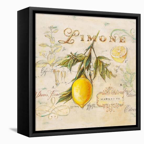 Tuscan Lemon-Angela Staehling-Framed Stretched Canvas