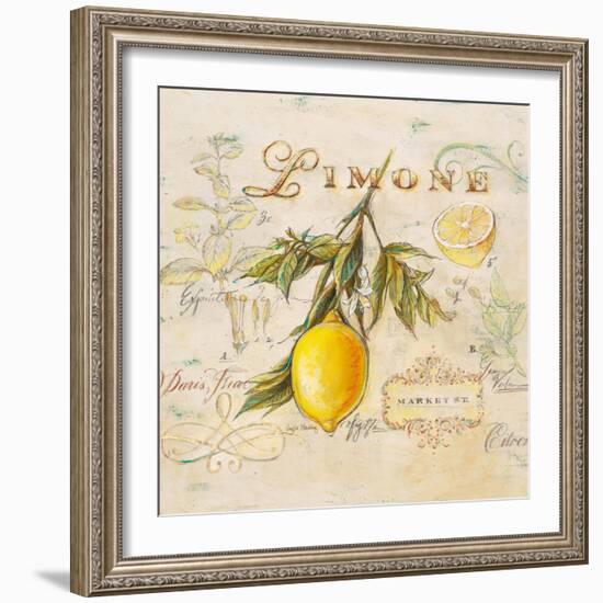 Tuscan Lemon-Angela Staehling-Framed Art Print