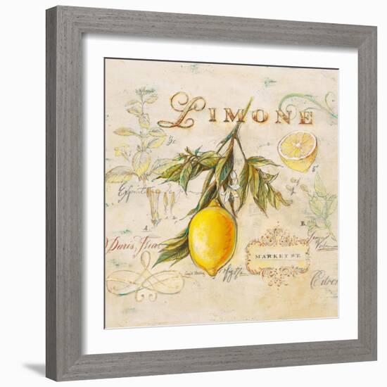 Tuscan Lemon-Angela Staehling-Framed Art Print