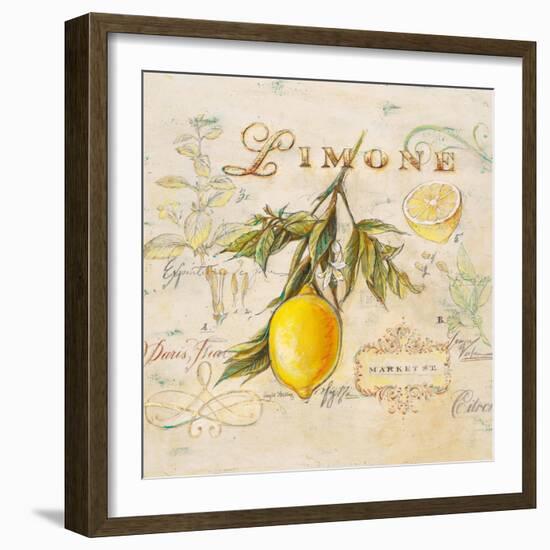 Tuscan Lemon-Angela Staehling-Framed Art Print