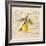 Tuscan Lemon-Angela Staehling-Framed Art Print