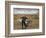 Tuscan Love-Gregg DeGroat-Framed Giclee Print