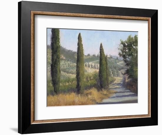 Tuscan Moment 1-Jill Schultz McGannon-Framed Art Print