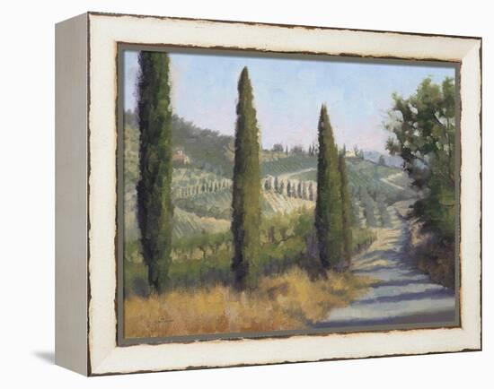 Tuscan Moment 1-Jill Schultz McGannon-Framed Stretched Canvas