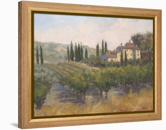 Tuscan Moment 2-Jill Schultz McGannon-Framed Stretched Canvas