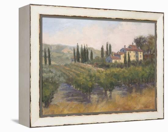 Tuscan Moment 2-Jill Schultz McGannon-Framed Stretched Canvas