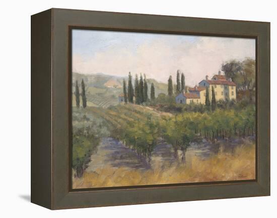 Tuscan Moment 2-Jill Schultz McGannon-Framed Stretched Canvas