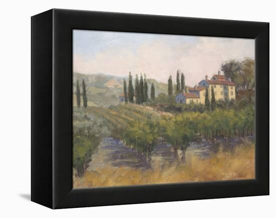 Tuscan Moment 2-Jill Schultz McGannon-Framed Stretched Canvas