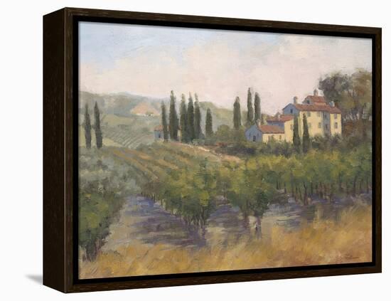 Tuscan Moment 2-Jill Schultz McGannon-Framed Stretched Canvas