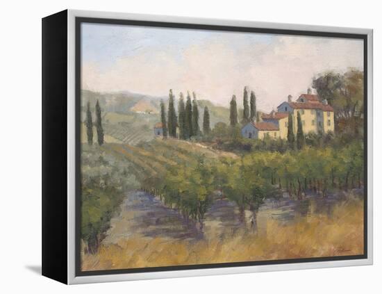 Tuscan Moment 2-Jill Schultz McGannon-Framed Stretched Canvas