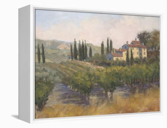 Tuscan Moment 2-Jill Schultz McGannon-Framed Stretched Canvas