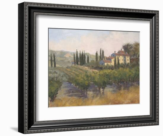 Tuscan Moment 2-Jill Schultz McGannon-Framed Art Print