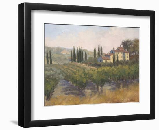 Tuscan Moment 2-Jill Schultz McGannon-Framed Premium Giclee Print