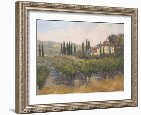 Tuscan Moment 2-Jill Schultz McGannon-Framed Art Print