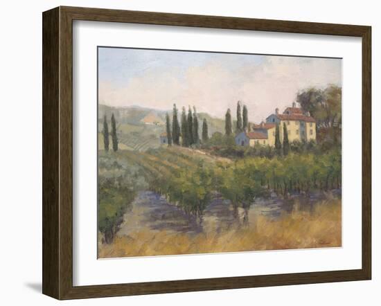 Tuscan Moment 2-Jill Schultz McGannon-Framed Art Print