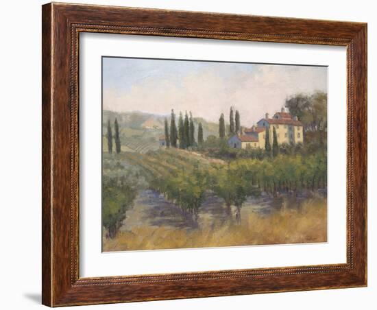 Tuscan Moment 2-Jill Schultz McGannon-Framed Art Print