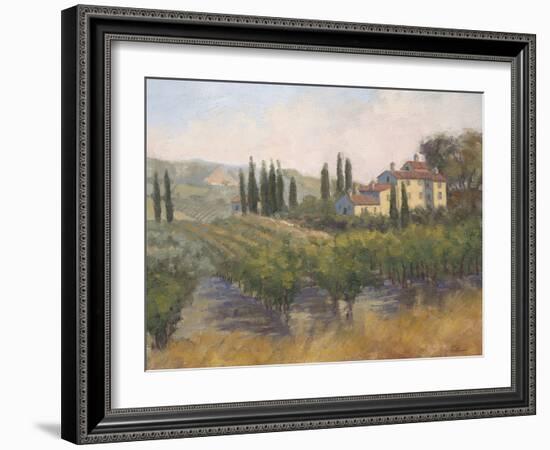 Tuscan Moment 2-Jill Schultz McGannon-Framed Art Print