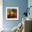 Tuscan Morning Light-Philip Craig-Framed Giclee Print displayed on a wall