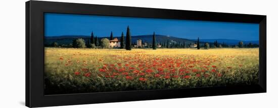 Tuscan Panorama, Poppies-David Short-Framed Art Print